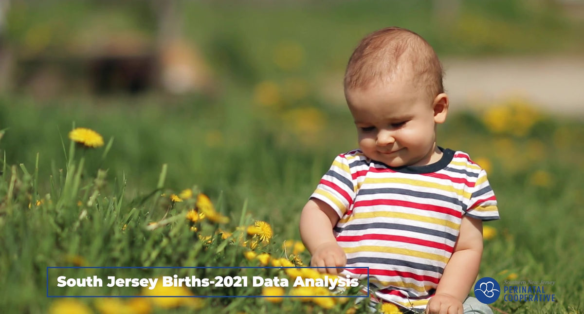 2021 Birth Data Analysis - Overview